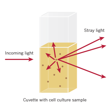 OD600 measurements OD600 bacterial cell growth, cuvette with sample, stray light