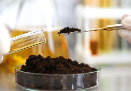 Implen OD600 McFarland precise microbial growth and cell density measurements, bioremediation
