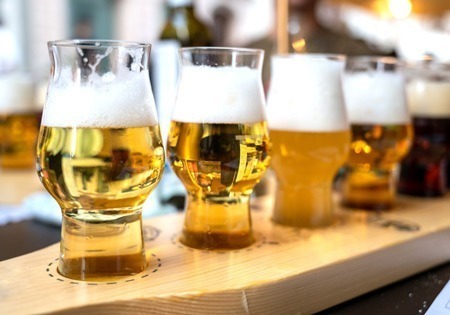 Implen OD600 McFarland precise microbial growth and cell density measurements, brewery