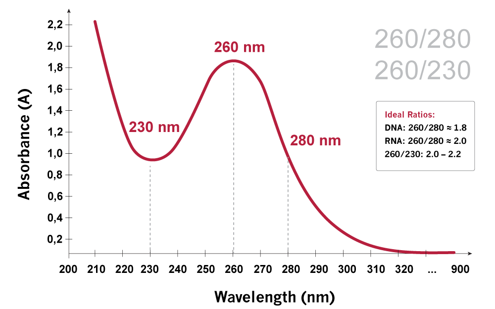 260/230 Ratios Explained DNA absorbance spectrum