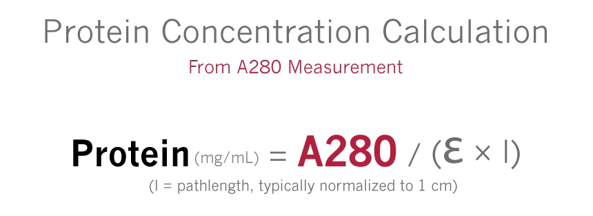Protein concentration calculation formula