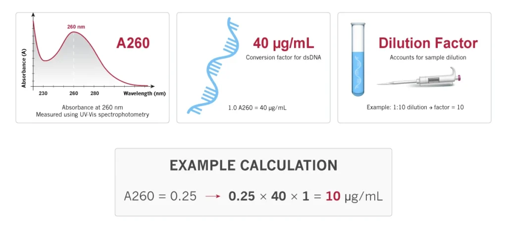 RNA concentration calculation, diagrams, explanation, example