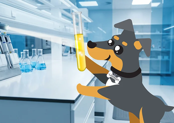 A Simple Perspective​ on UV Vis spectroscopy