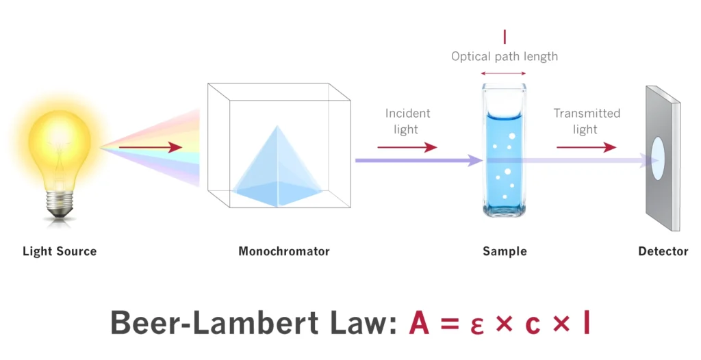Beer Lambert Law principle and formula