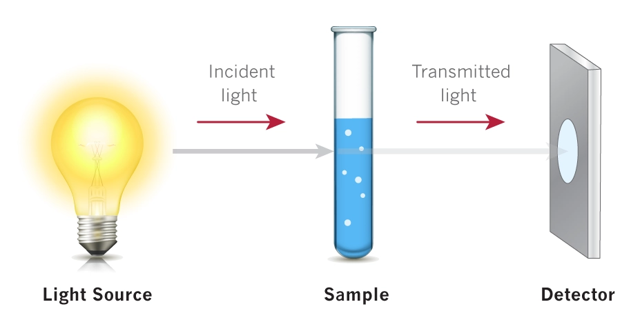 How UV-Vis Spectroscopy Works understanding absorbance