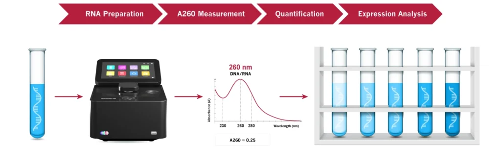 RNA preparation A260 measurement quantification expression analysis workflow