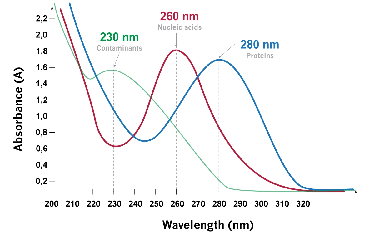 What is Spectral Scanning, nucleic acids, proteins, and contamination peaks