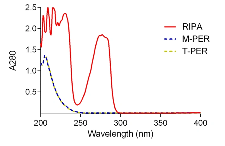 Direct UV280 Protein Quantification RIPA M-PER T-PER limitations