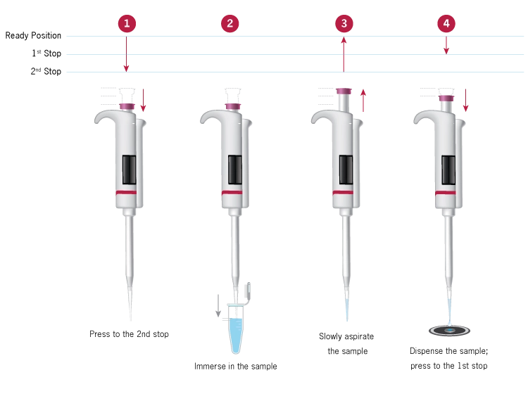 Implen Reverse Pipetting Technique