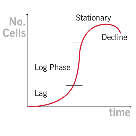 OD600 implen bacterial cells growth curve