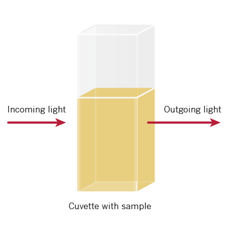 OD600 bacterial cells growth-cuvette-with-sample-outgoing-light.gif