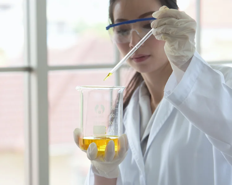 OD600 vs Cell Concentration